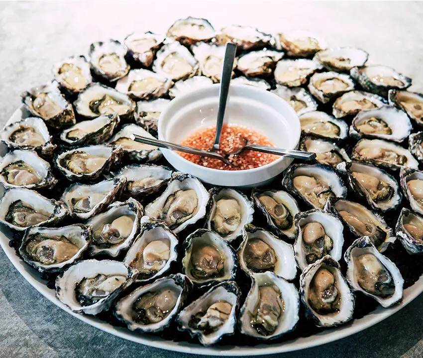 oysters-thumbnail.jpg