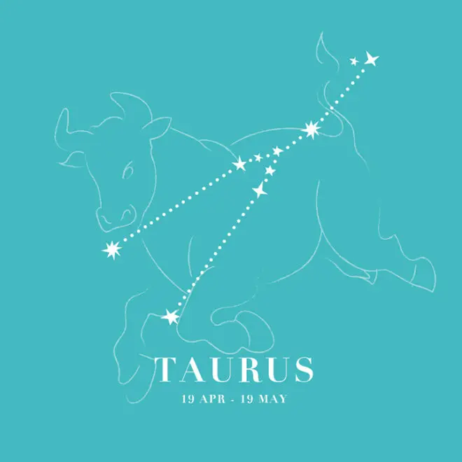 Taurus-TN-OPT.jpg