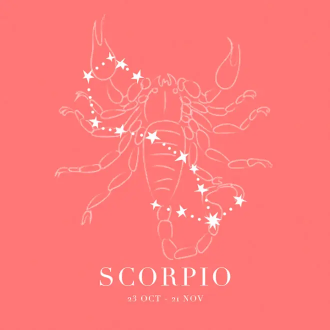 Scorpio-TN-OPT.jpg