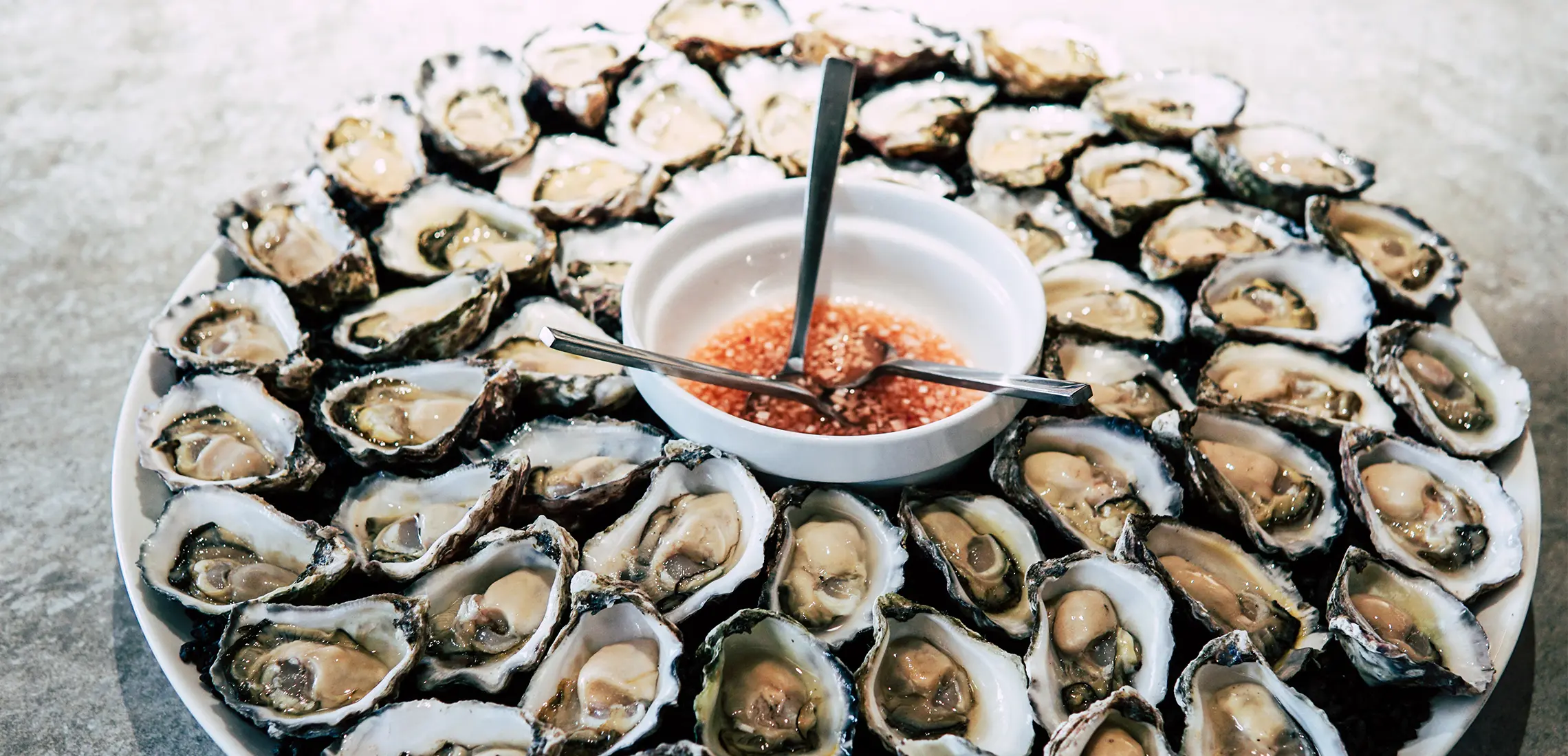 oysters-header.jpg