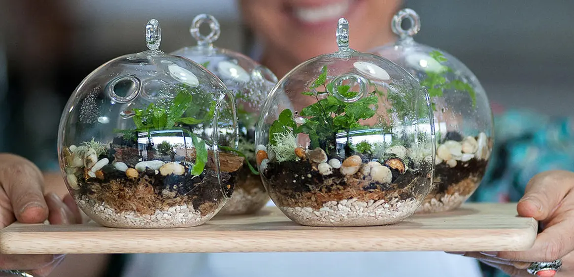 Mini Orb Desk Terrarium Kit with Live Moss Plants